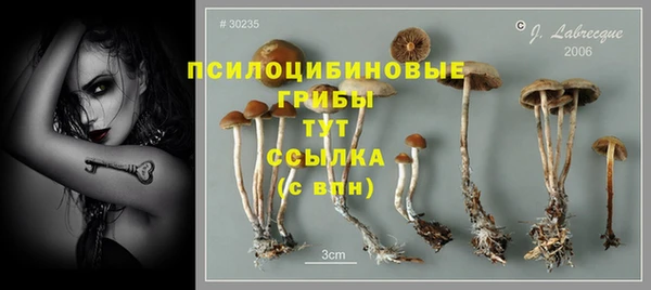 дживик Абдулино