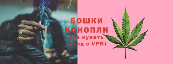 гидра Алексеевка